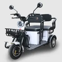650 Watt motor electric tricycles 3 wheel electric passenger bike for family