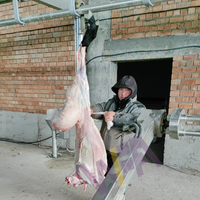 Abattoir Complet pour 150-500 Têtes par Jour, Spécialisé dans la Viande de Chèvre et d'Agneau