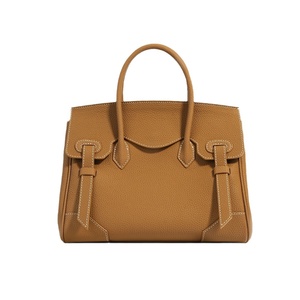 Nouveau style 2026 : Sacs à bandoulière et sacs à main de luxe uniques pour femmes – Collection chaîne tendance en promotion - Product Image 1