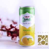 Beste Leverancier Frisdrank Aangepaste Smaak Natuurlijke Mango Vruchtensap