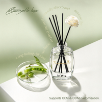 Diffuseur de parfum d'ambiance en gros, aromathérapie, huile parfumée, marque privée NOVA, formule exclusive, emballé en boîte