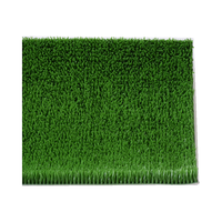Dream Turf Plastic Gold Mining Grass Dreamtruf Gold Mining Washing Hard Green Carpet Dreamturf Karpet