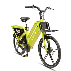 Txed Cargo E-Bike 2-wielige Familie 48V 250W Dubbele Batterij Voedsellevering Certificering Elektrische Bakfietsen Te Koop