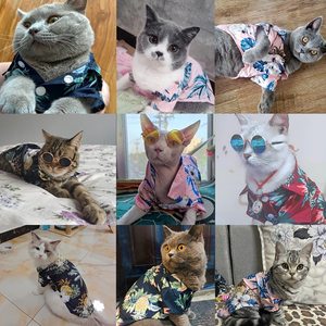 Camisas geniales <span class=keywords><strong>de</strong></span> verano para gatos para mascotas, ropa con estampado <span class=keywords><strong>de</strong></span> playa hawaiana, camiseta Floral <span class=keywords><strong>de</strong></span> viaje para vacaciones, <span class=keywords><strong>disfraz</strong></span> <span class=keywords><strong>de</strong></span> perro pequeño para cachorro <span class=keywords><strong>de</strong></span> gatito - Product Image 5