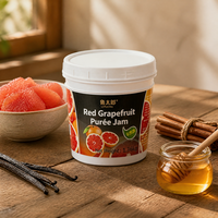 Lotlong Fabricant OEM Purée de Pamplemousse Rouge de Qualité Commerciale au Goût Naturel d'Agrumes pour la Restauration et la Transformation des Boissons