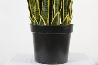 110cm écologique Sansevieria plantes de serpent artificielles bonsaï plante plantes artificielles pour la décoration intérieure