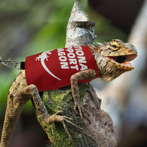 Correa de tracción de nailon para reptiles, suministros para mascotas de apoyo emocional, correa de pecho para caminar, especial para camaleones y ardillas. - Product Image 3