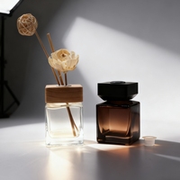 Bouteille vide en verre dépoli pour diffuseur à bâtonnets 50ml 100ml 150ml 200ml