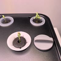 Système hydroponique intelligent d'intérieur Starfarm avec éclairage LED pour la culture, appareil électroménager intelligent, respectueux de l'environnement, garantie 1 an