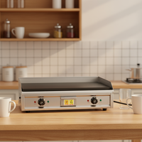 Plaque de cuisson électrique professionnelle, gril polyvalent pour stand de rue, idéal pour le riz frit, les nouilles froides et les crêpes aux œufs
