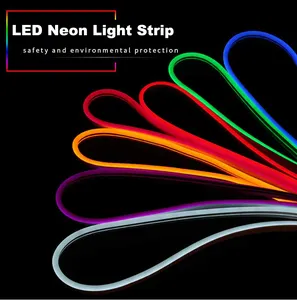 Luce al Neon in Silicone IP65 corda decorativa 12V luci al Neon personalizzate striscia flessibile luce al Neon a Led