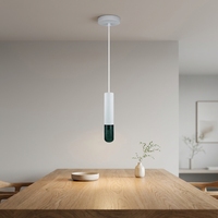 Lampe suspendue G9, design nordique simple, nouvelle conception, lampe suspendue LED pour la maison, lampe suspendue moderne pour la cuisine