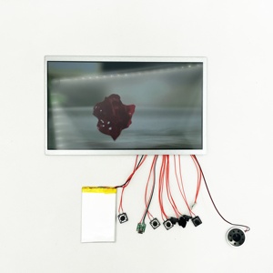 Tùy chỉnh thực hiện 10.1 inch độ phân giải cao màn hình LCD video mô-đun Board Micro âm thanh Máy nghe nhạc thiết bị điện tử Brochure nút lắp ráp - Product Image 2