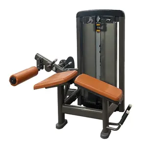 Extension de curl de jambe inverse de fitness de gym commerciale et machine de curl de jambe