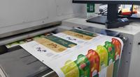 Machine d'impression numérique Color Jet H3 pour étiquettes en PET, PP, PE avec encres pigmentées à base d'eau