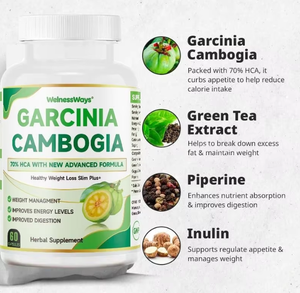 Капсулы на растительной основе напрямую от производителя – жиросжигающие таблетки для взрослых для похудения, низкий MOQ и OEM - Product Image 3