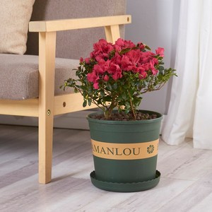 2021 China supplier hot selling indoor garden plant flower pot for office living room plastic plant pots