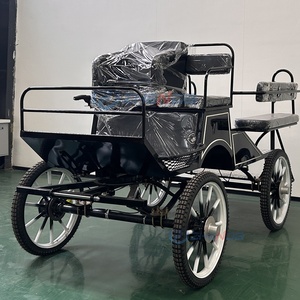 Newly Designed Carriage/customized Luxury Marathon/factory Direct Marathon Rickshaw - Product Image 3