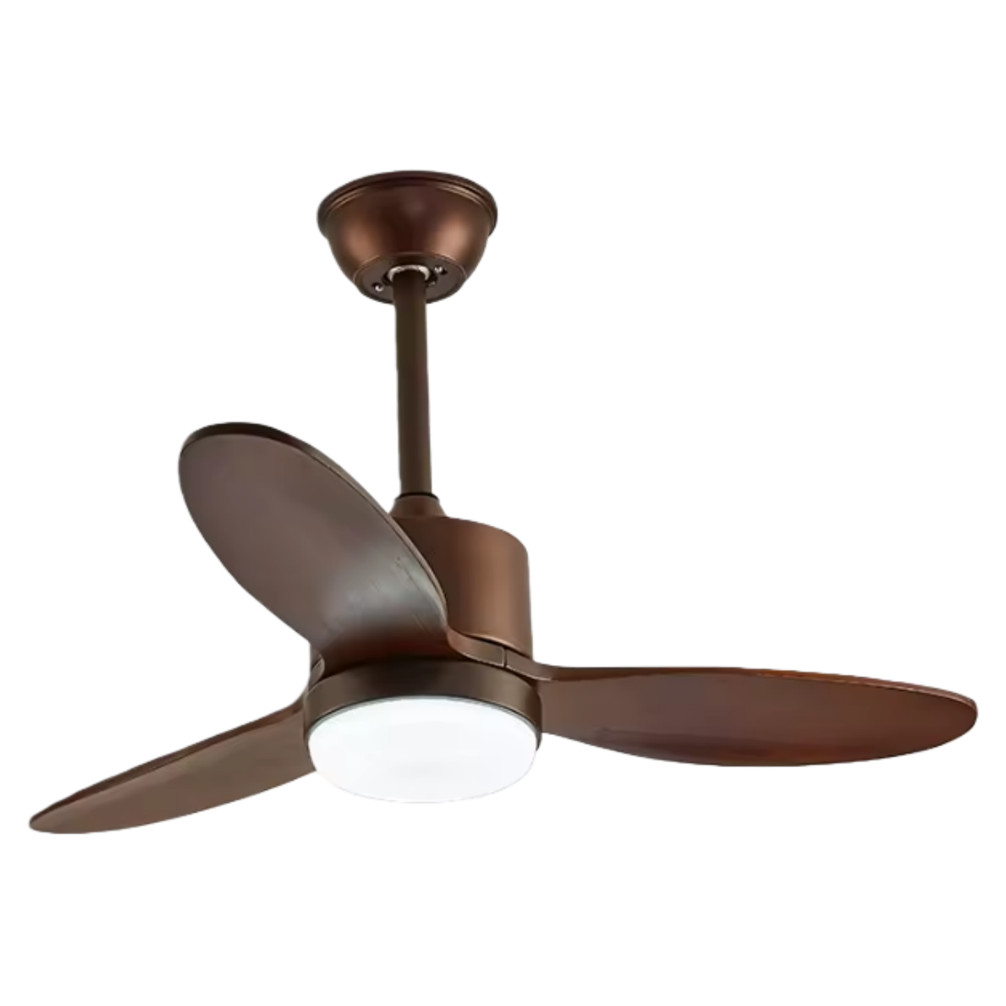 สีน้ำตาล