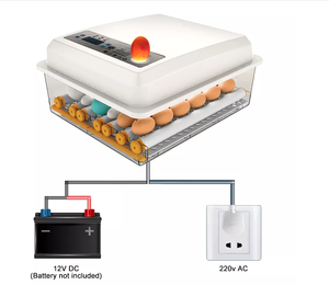 Lồng ấp 36 trứng tự động trứng lồng ấp trứng nở máy để bán với điện kép - Product Image 2
