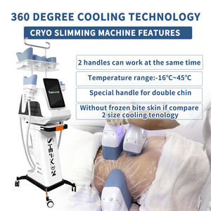 Máquina de Adelgazamiento Portátil S10 Cryocare con Dos Manijas - Product Image 3
