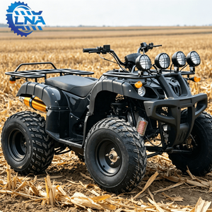 Cuatrimotos LNA a <span class=keywords><strong>Precio</strong></span> Accesible, Motor de Gasolina de 250cc, para Turismo y Negocios - Product Image 5