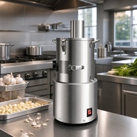 BlinkSong Commerciële Knoflook Schilmachine RVS Automatische Schiller voor Hele Knollen voor Restaurant Catering Professioneel Gebruik