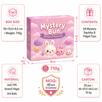 Calendrier de l'Avent Southpeak Toy Mystery Bun 24 Jours – Boîte Mystère Kawaii Squishy Fidget Orb Ball Toys BOSS 18x12.5cm MOQ40 OEM WS