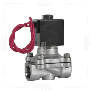 Válvula Solenoide COVNA de 90 Días, 2W31 DN15 1/2 Pulgadas, CA/CC, Normalmente Cerrada, Acero Inoxidable CF8M, para Agua, Aire, Vapor y Gas - Product Image 2