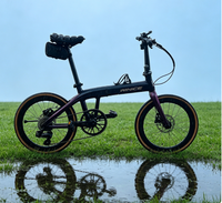 Bicicleta Plegable Aurora Chameleon con Cuadro de Carbono T700, Pintura con Efecto de Cambio de Color Exclusivo, Apariencia Elegante y Urbana