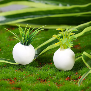 Mini pots de plantes succulentes simulées en résine, accessoires pour maison de poupée, ornements de paysage pour décoration de mini-jardin - Product Image 4