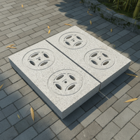 Dalle de granit blanc martelé sculpté pour couvercle de canalisation et planche de drainage, idéale pour les projets modernes de villas, écoles et hôpitaux