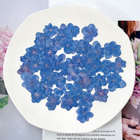 Fiori di Ortensia Essiccati e Pressati per Arte in Resina, Fai da Te, Decorazioni per Matrimoni, Regalo per Mamma, Insegnante, San Valentino, Compleanno, Bomboniera