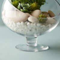 Petit projecteur sur pied Terrarium Mini Terrarium Serre Coffrets cadeaux pour femmes Terrarium pour plantes