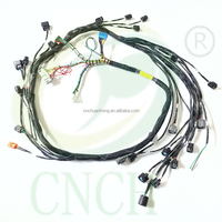 Faisceau de câbles personnalisé CNCH pour kit de câblage Fueltech Haltech ECU-TXL 3 ans de garantie