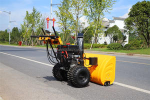 Souffleuse à neige manuelle de bonne qualité 6.5HP Mini souffleuse à neige pour le russe - Product Image 6