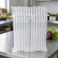 Sac à colonne d'air gonflable de 450*300 mm d'épaisseur 60 µm pour raisin de 1,5 kg