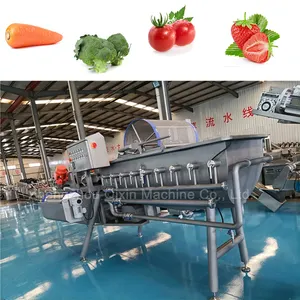 Tipo Vortex Lavagem Bolha Vibração Filtração Folha De Frutas Limpeza Vegetal Máquina De Lavar
