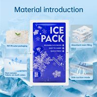 Pack de glace sèche en gel pour glacière alimentaire jetable en plastique personnalisable avec logo, feuille de congélation avec logo pour boîte à lunch