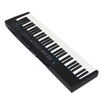 Vente directe d'usine 300 timbres 300 rythmes 50 chansons de démonstration Écran LED Mini clavier de style piano 61 touches Prise en charge du logo OEM