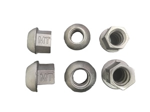 صامولة فولاذية مصبوبة مقببة لجميع قضبان اللولب والمسامير والصواميل - Product Image 1