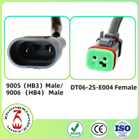 10cm 18AWG 9006 ke DT 2 Pin Socket Kabel Harness Mobil Silikon Tugas Berat IP67/IP68 untuk Konverter Lampu Kabut Mobil