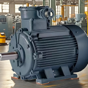 Motor Asíncrono Trifásico a Prueba de Explosiones, Motor Trifásico de Corriente Alterna, Motor YBX3-355L4-6-315KW - Product Image 4