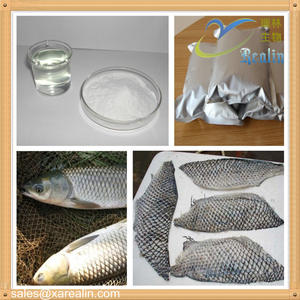 Gute Qualität Verkaufs preis Lieferung Marine Tiefsee fisch Haut Kollagen Pulver - Product Image 3