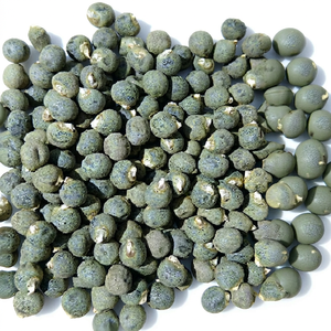 Top Grade FB-SAMRUDDH F1 HY OKRA Seeds Organic Non-GMO Medium Tall 12-14cm Dark Green Heat-Resistant Tolerance YVMV/ELCV Long
