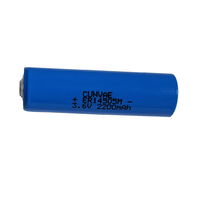Batterie au lithium AA 3,6 V ER14505M 2600 mAh pour télécommandes et appareils électroniques grand public
