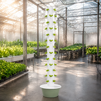 Système de culture hydroponique en tour à 13 niveaux avec tiges de support métalliques et pompe à eau pour jardin potager familial