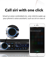 Hot Trend MP3 Car Stereo USB Aux MP3 Player Car Tape Dual USB Car Monitor MP5 Display Car Stereo Radio MP3 Player