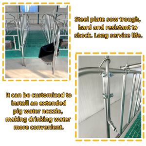 Caisse de gestation pour truies galvanisée <span class=keywords><strong>cages</strong></span> pour porcs caisses cage d'élevage pour équipement agricole - Product Image 4