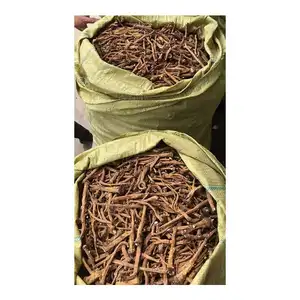 Planta pura de alta calidad, extracto de raíces pivotantes, secas, solo selectas, 100% puras